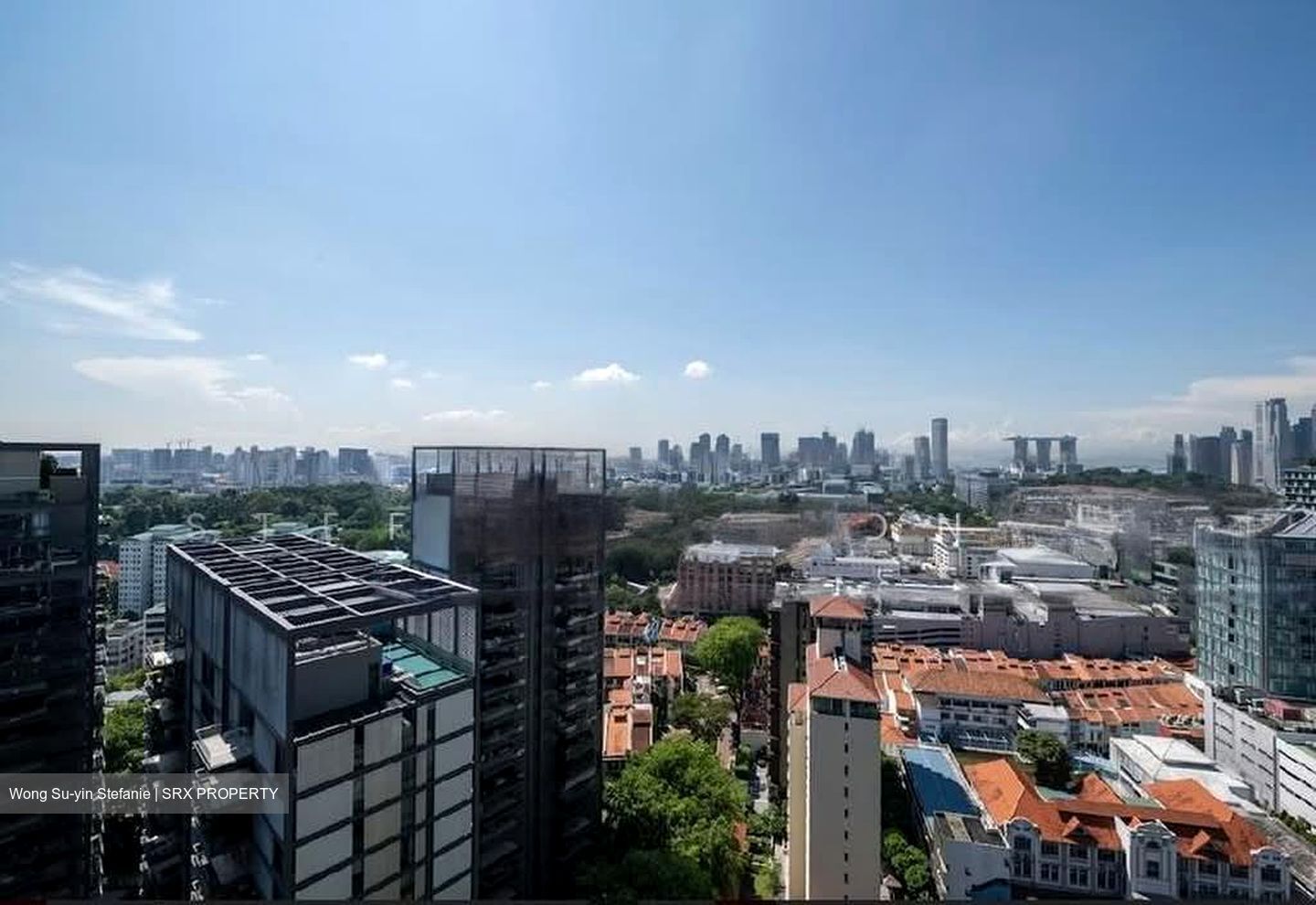 Cairnhill Nine (D9), Apartment #622576821